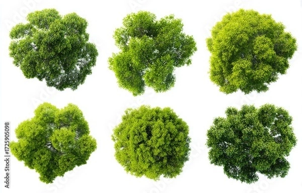Obraz Six overhead views of various green trees