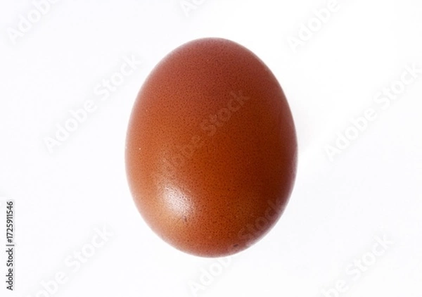 Obraz Brown Egg Isolated on White Background