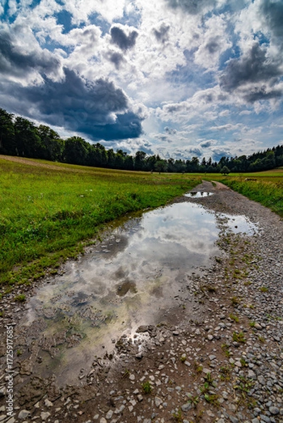 Fototapeta A wet path with a puddle reflecting the blue sky and clouds