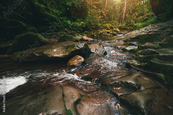 Fototapeta Mountain stream flowing over mossy stones and dark rocks in a dense, magical green forest with tall trees and bright sunbeams breaking through the canopy. Carpathians.