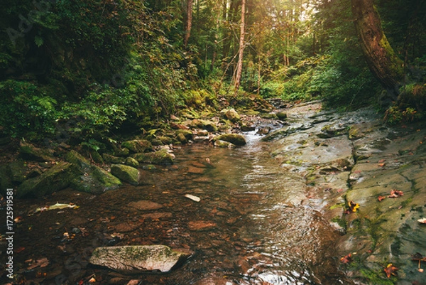 Fototapeta Mountain stream flowing over mossy stones and dark rocks in a dense, magical green forest with tall trees and bright sunbeams breaking through the canopy. Carpathians.