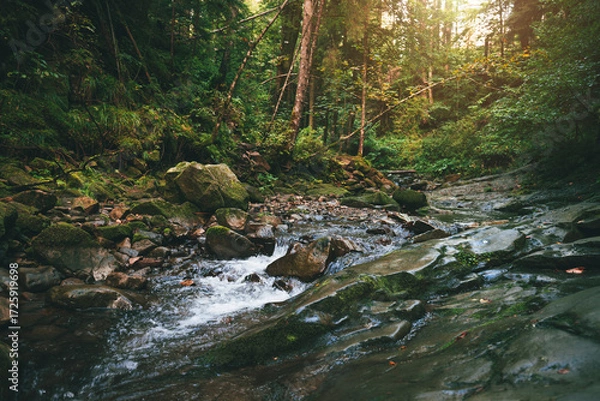 Fototapeta Mountain stream flowing over mossy stones and dark rocks in a dense, magical green forest with tall trees and bright sunbeams breaking through the canopy. Carpathians.