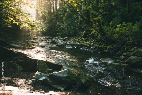 Fototapeta Mountain stream flowing over mossy stones and dark rocks in a dense, magical green forest with tall trees and bright sunbeams breaking through the canopy. Carpathians.