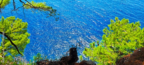 Obraz Bright green pine branches extend over a deep blue sea, contrasting vivid foliage with rippling water, creating a serene coastal seascape in natural light.