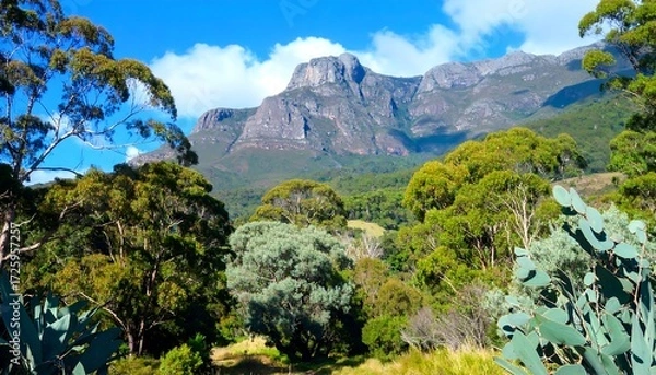 Obraz Lush mountain vista