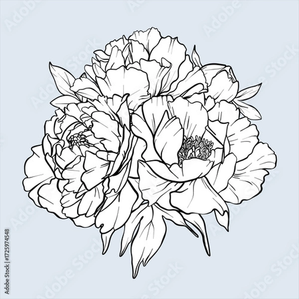 Obraz Bouquet of peonies line art. EPS 10. Flower sketch painted by black inks. Hand drawn outline flowers. Peony vector flower illustration. Flowers Engraving for wedding invitations, save the date card