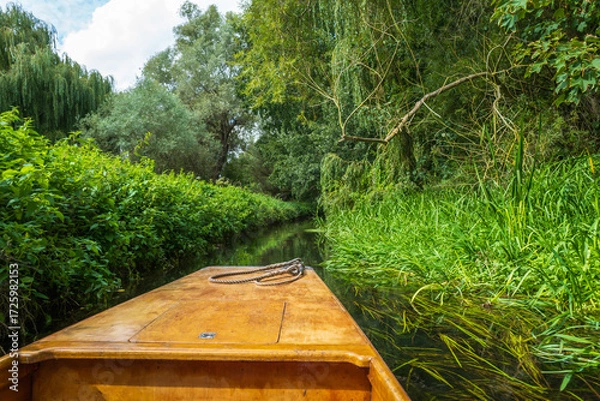 Fototapeta Rope on the bow of a wooden punt travelling through the lush greenery of the River Stour in Canterbury, Kent, UK.