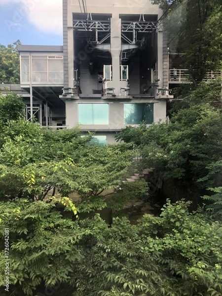 Fototapeta Trees and Trolley 