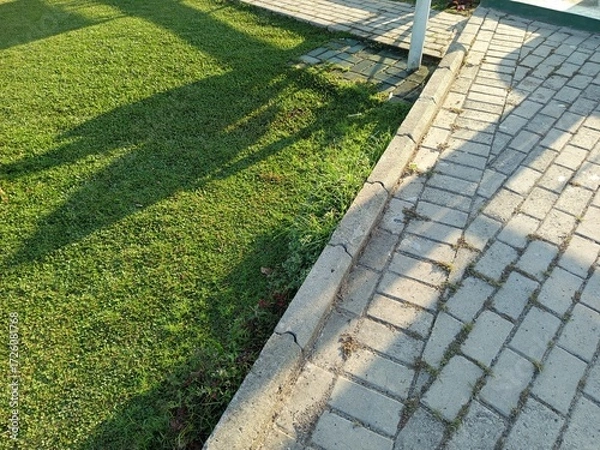 Fototapeta path in the park