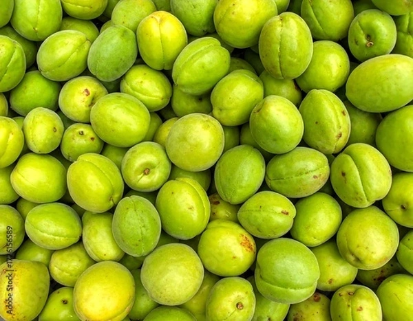 Fototapeta A close-up view of many green apricots