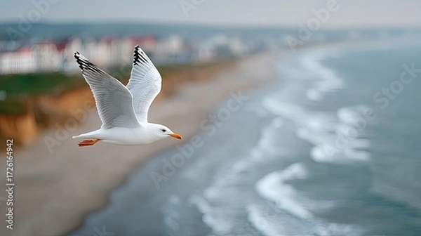 Fototapeta Seagull in Flight Over Ocean Coastal Horizon Under Cloudy Sky