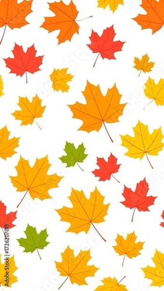 Fototapeta Scattered autumn maple leaves in various colors on a white background
