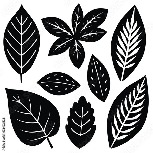 Fototapeta a collection of teal leaves in various shapes on a (1).eps