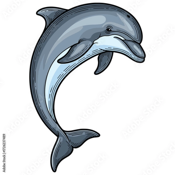 Fototapeta Vector Illustration of Dolphin in Realistic Style with Blue Gray Colors for Marine Wildlife Design