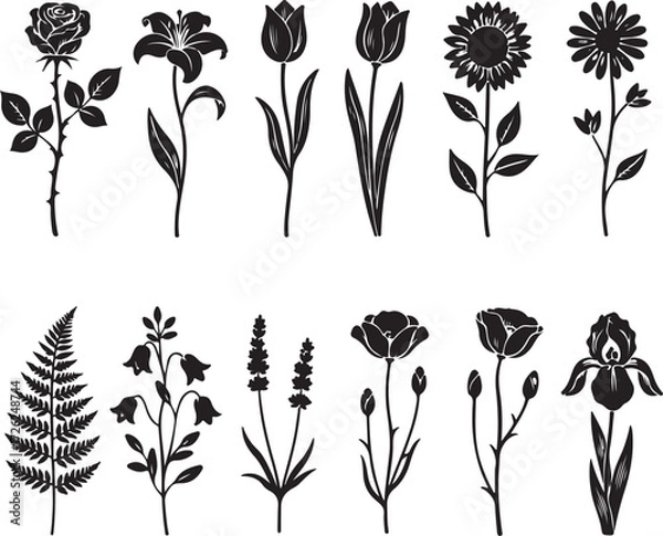 Fototapeta Elegant Floral Silhouettes: A visually striking collection of various flower species captured in intricate black silhouettes. Showcasing the grace and beauty of nature's creations in minimalist form.