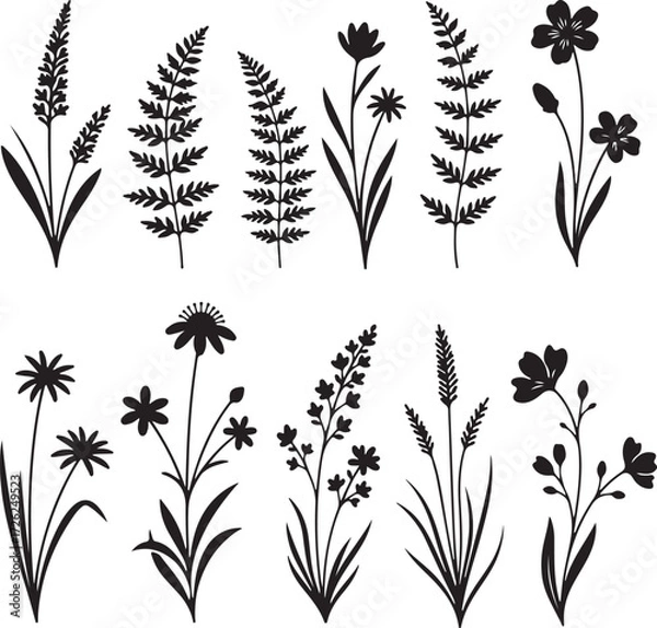 Fototapeta Elegant Botanical Silhouettes: A collection of exquisite botanical silhouettes, gracefully displaying diverse plants, from delicate flowers to intricate ferns, perfect for enhancing design projects. 