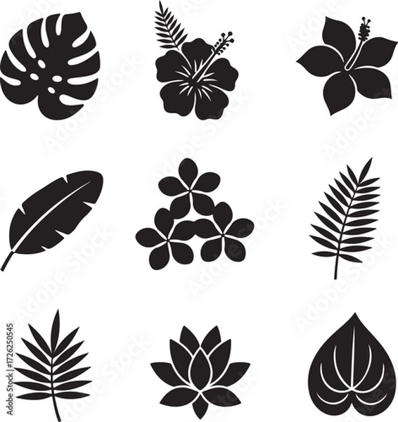 Fototapeta Exotic Botanical Designs: A set of captivating botanical designs. Featuring intricate illustrations of tropical leaves and flowers in elegant black, perfect for enhancing various design projects.