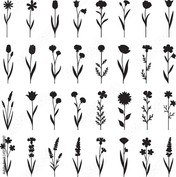Fototapeta Floral Symphony: Elegant silhouettes of various delicate blooms, each representing the quiet grace and timeless beauty of nature, poised against a stark and stunning contrast.