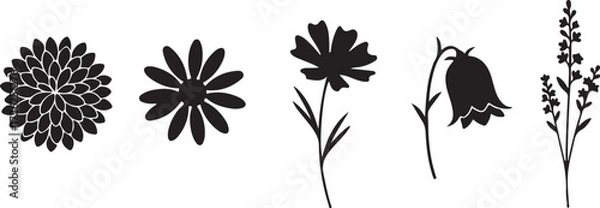 Fototapeta Silhouette of Flowers: A striking monochrome composition unveils an array of elegant flowers and delicate floral elements, evoking a sense of understated elegance.