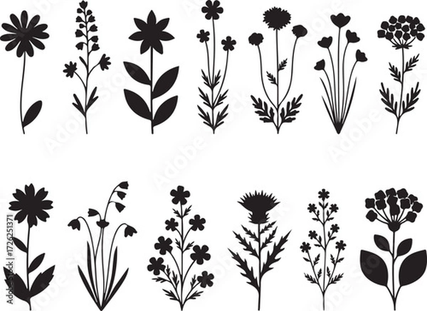 Fototapeta Floral Silhouettes: A collection of elegant floral silhouettes, offering a visually striking study in botanical forms and patterns perfect for graphic design projects.