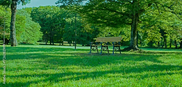 Fototapeta 公園のベンチ