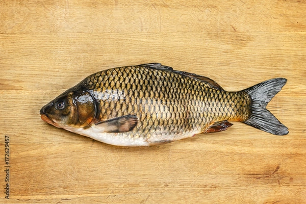 Obraz Fresh carp on cutting board