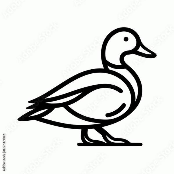 Fototapeta Line drawing of a duck standing in profile on a white background  