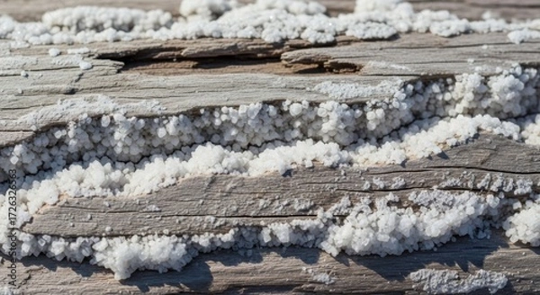 Fototapeta Delicate crystalline formations juxtaposed against the aged and weathered wood surface creating an