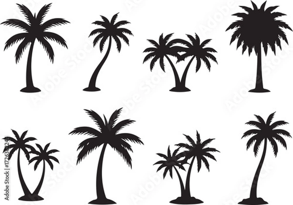 Fototapeta Tropical Palm Collection: A captivating collection of stylized palm trees, each a unique silhouette, showcasing the iconic imagery of tropical beauty and seaside serenity.