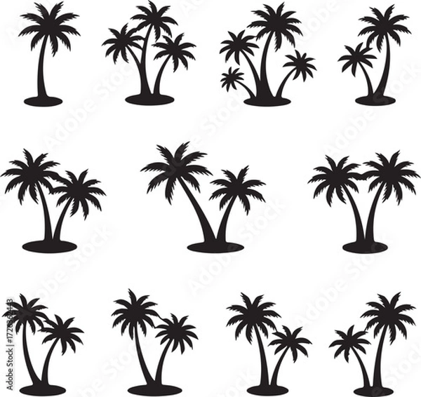 Fototapeta Palm Silhouette Collection: A collection of intricately designed palm tree silhouettes perfect for adding a touch of tropical flair to any design project or decorative setting.