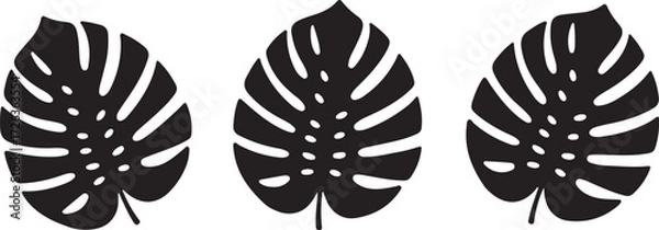 Fototapeta Tropical Foliage: An abstract illustration of three detailed monstera leaves, showcases the intrinsic beauty and minimalist elegance of tropical botanical elements.