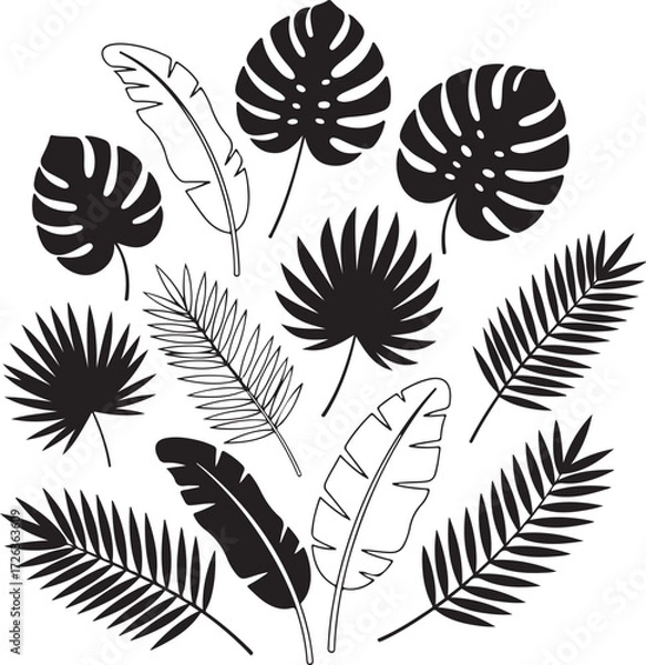 Fototapeta Tropical Foliage Silhouette: A collection of elegant, monochrome illustrations showcasing a variety of tropical leaves, creating a striking and artistic design.