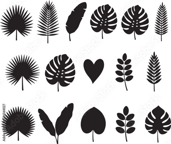 Fototapeta Leaf Pattern Set: A collection of detailed, monochromatic leaf silhouettes. showcasing elegant botanical elements for design and decorative use.
