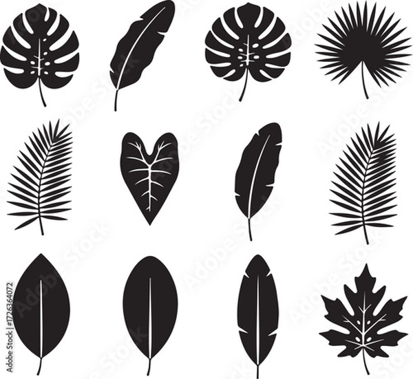 Fototapeta Tropical Leaves Collection: A collection of tropical leaves elegantly rendered in a monochromatic style, creating a captivating illustration with a touch of exotic allure.