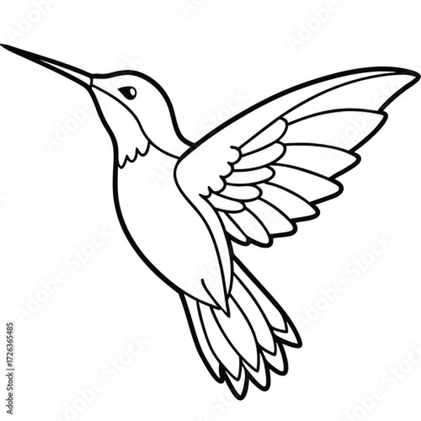 Obraz flying hamming bird outline