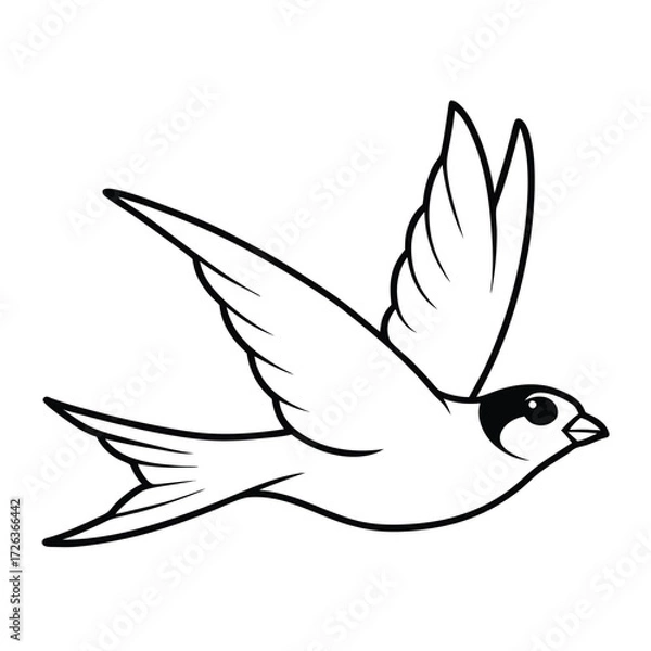 Obraz sparrow bird Artwork