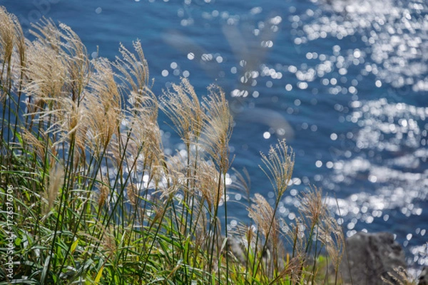 Obraz 立待岬からの眺め