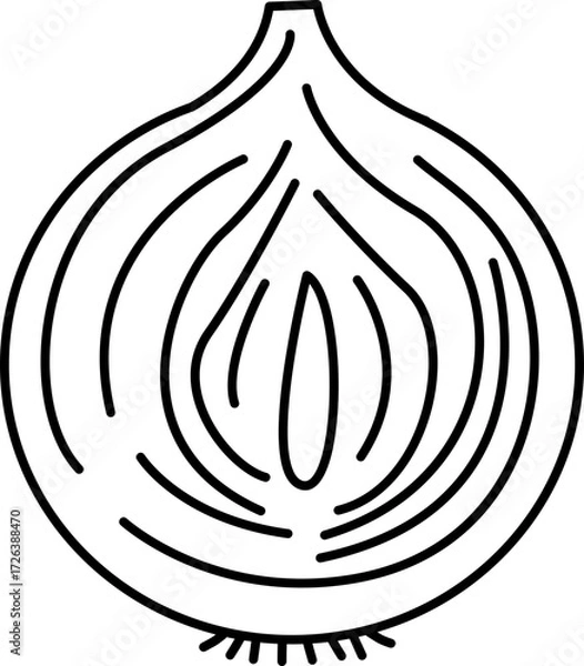 Fototapeta Onion Vector Illustration. Simple Outline Onion Coloring Page