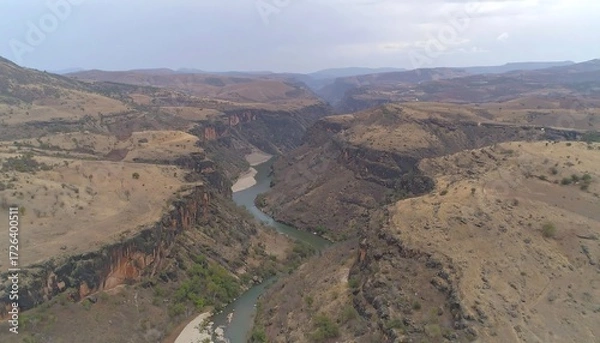 Fototapeta River carving through arid canyon landscape