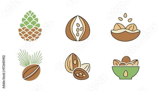 Fototapeta Nuts and pine cone illustrations