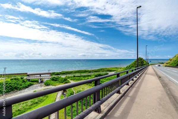 Fototapeta 日本海の水平線が見える絶景を見ながら海沿いの道を散歩する。