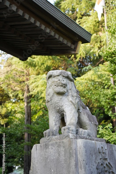 Fototapeta こま犬