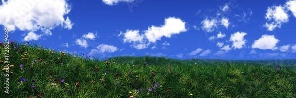 Obraz Panorama of a meadow with flowers, flowers and grass, grassy hill, blue sky with clouds and a meadow with flowers, 3D rendering