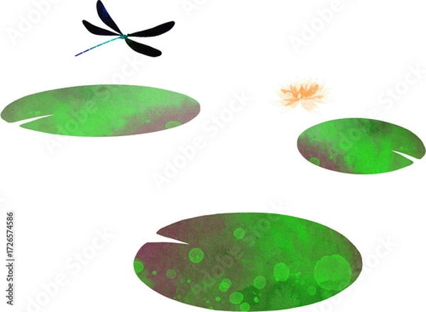 Fototapeta 睡蓮とハグロトンボのイラスト素材