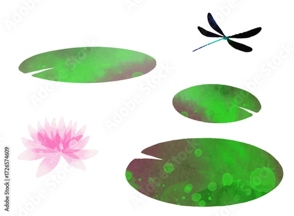 Fototapeta 睡蓮とハグロトンボのイラスト素材　ベクター