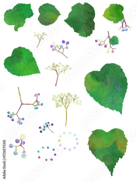 Fototapeta ノブドウのイラスト素材　アレンジ自由自在　ベクター