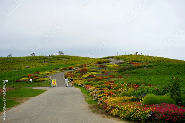 Fototapeta みはらしの丘