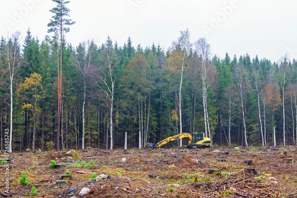 Fototapeta Excavator on a clearcutting by the forest edge