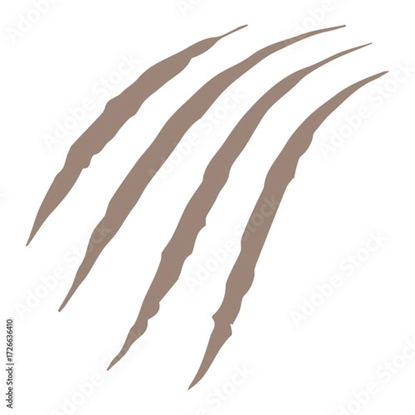 Fototapeta Beast Claw Scratches