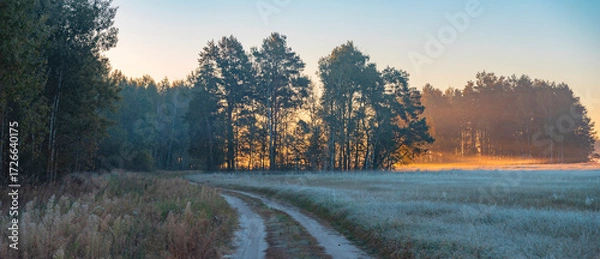 Fototapeta the first frost at dawn in early autumn
